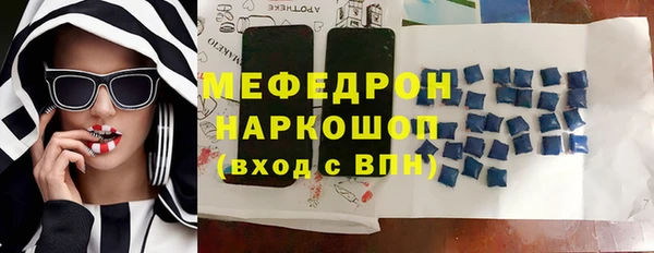 молекула духа Богородицк