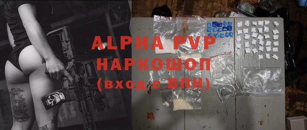 молекула духа Богородицк