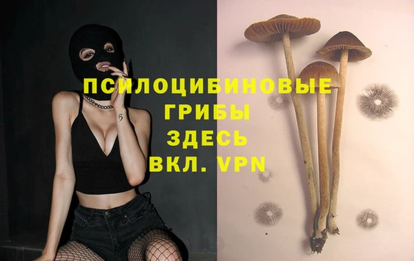метадон Богородск
