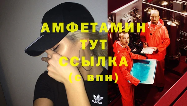 молекула духа Богородицк