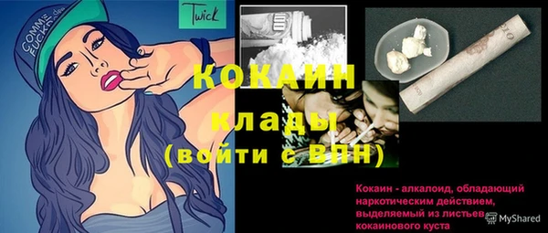 молекула духа Богородицк