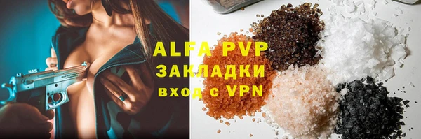 молекула духа Богородицк