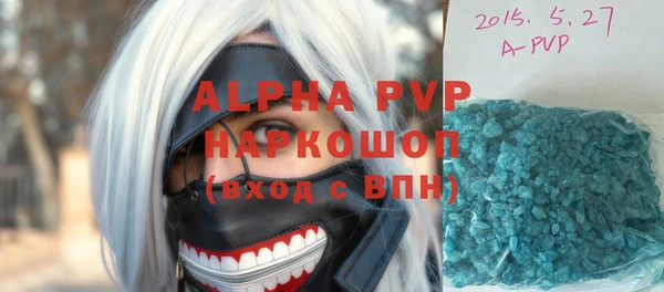 молекула духа Богородицк